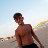 VIERDEELS Louis